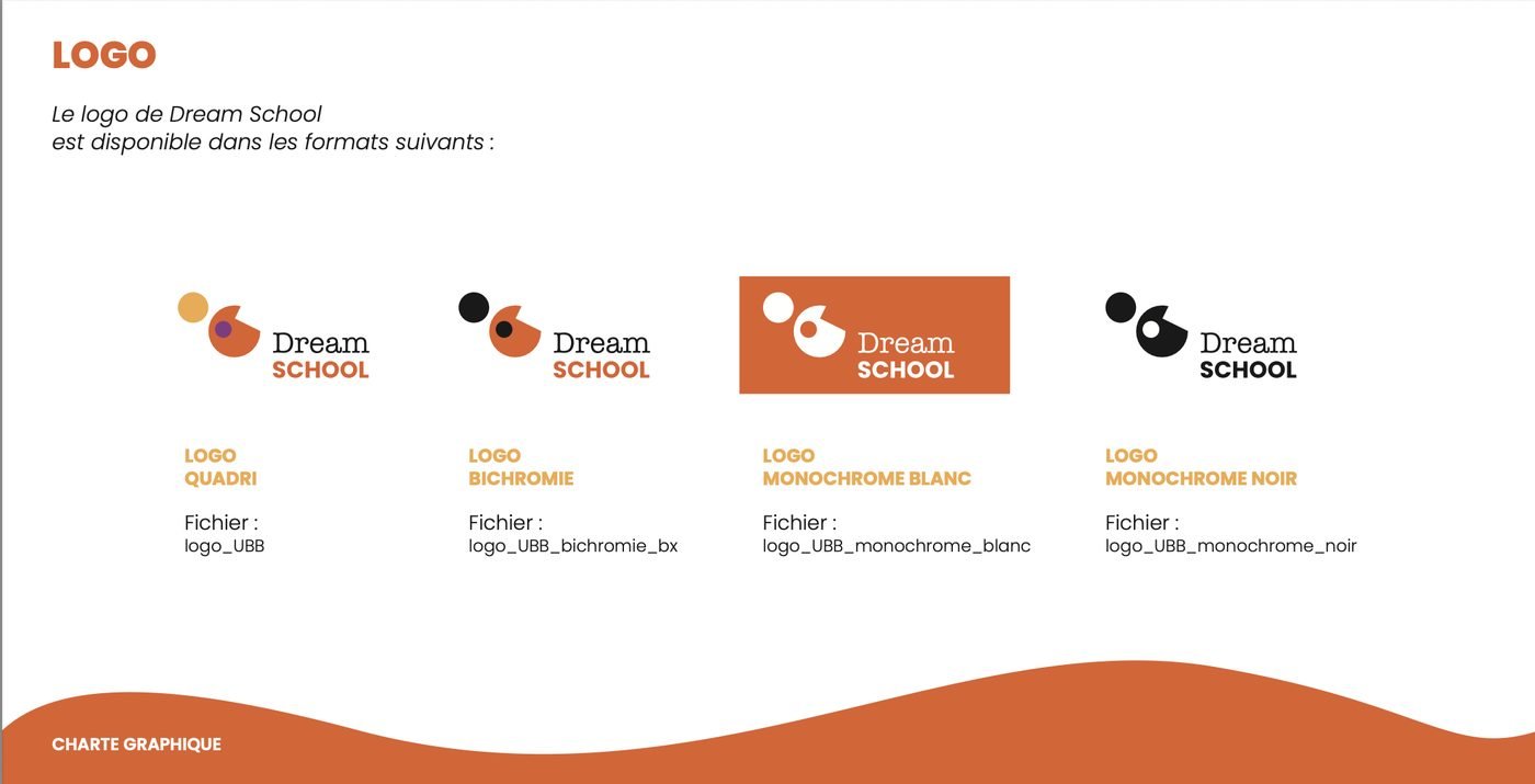 Dream School - Identité Visuelle Complète, visuel 5